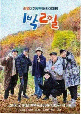 成全综艺推荐 一起去露营吧
